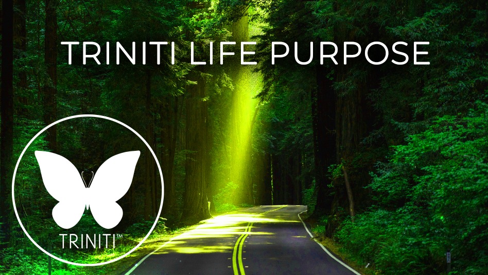 Triniti-Life-Purpose